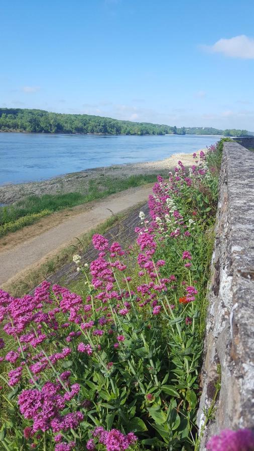 Le Cosy Loire Appart Apartment Les Rosiers-sur-Loire Luaran gambar