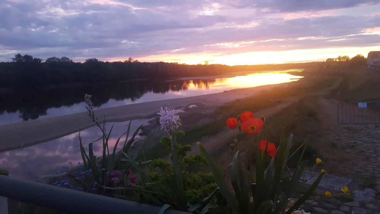 Le Cosy Loire Appart Apartment Les Rosiers-sur-Loire Luaran gambar